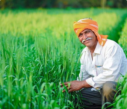 Environment Sustainability